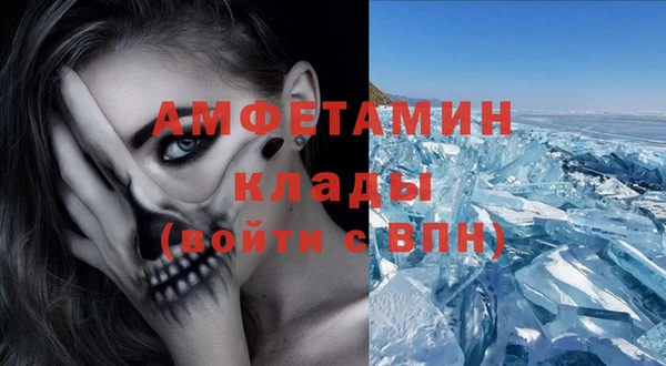 трава Карпинск