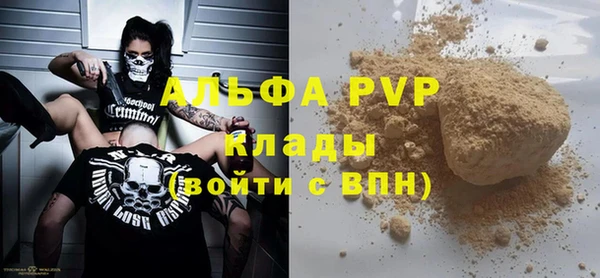 трава Карпинск